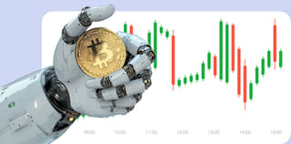 Dashboard view of the Skelvurizont crypto exchange platform