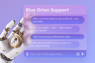 Skilled assistance and crypto customer support provided through Skelvurizont